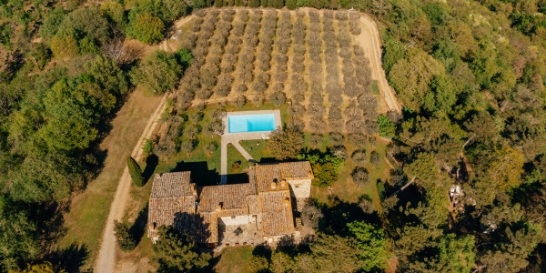 Comprar / Vender Solares, Terrenos y Parcelas Urbanizables en Puntagorda · para inversionistas