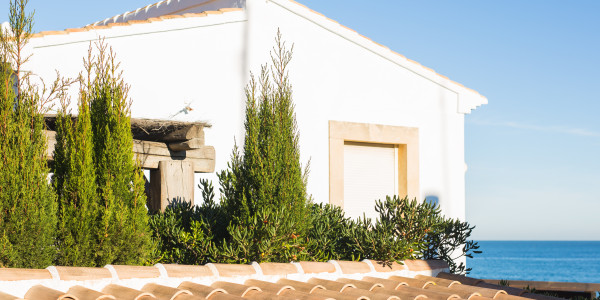 Inversores, Intermediarios, Agentes y Brokers Inmobiliarios en El Tanque · Casas de Playa